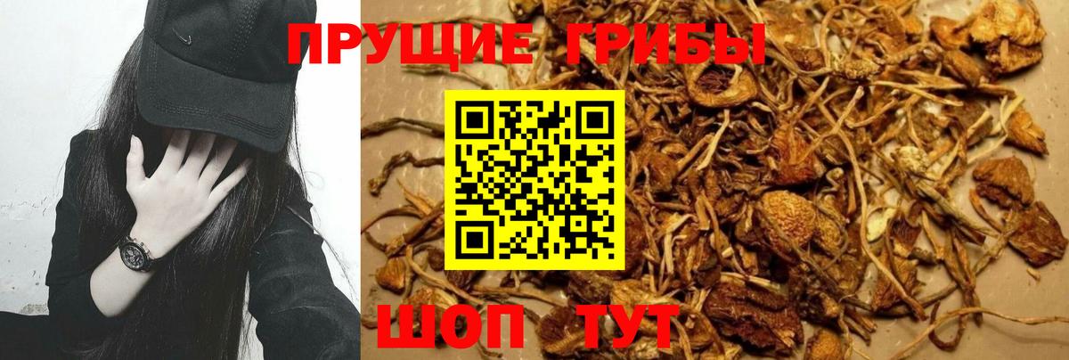 Галлюциногенные грибы GOLDEN TEACHER Кушва