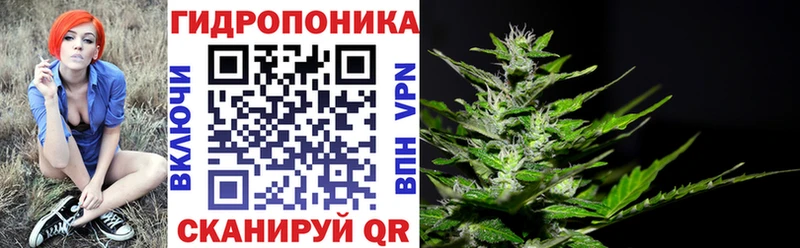Шишки марихуана ГИДРОПОН Кушва
